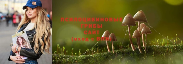 СК Алексеевка