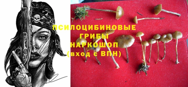 СК Алексеевка