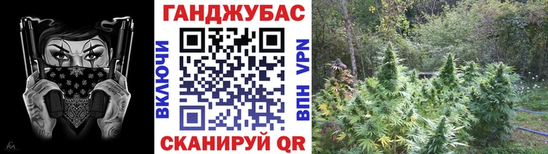 купить   Лагань  Бошки марихуана THC 21% 